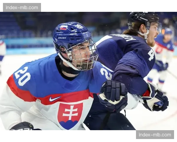 瑞士男子冰球队4-0战胜法国，门将雷托·贝拉完成零封