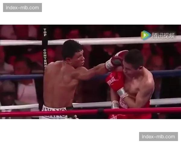 “巴西反兴奋剂机构对五名本土综合格斗选手提起违规诉讼”